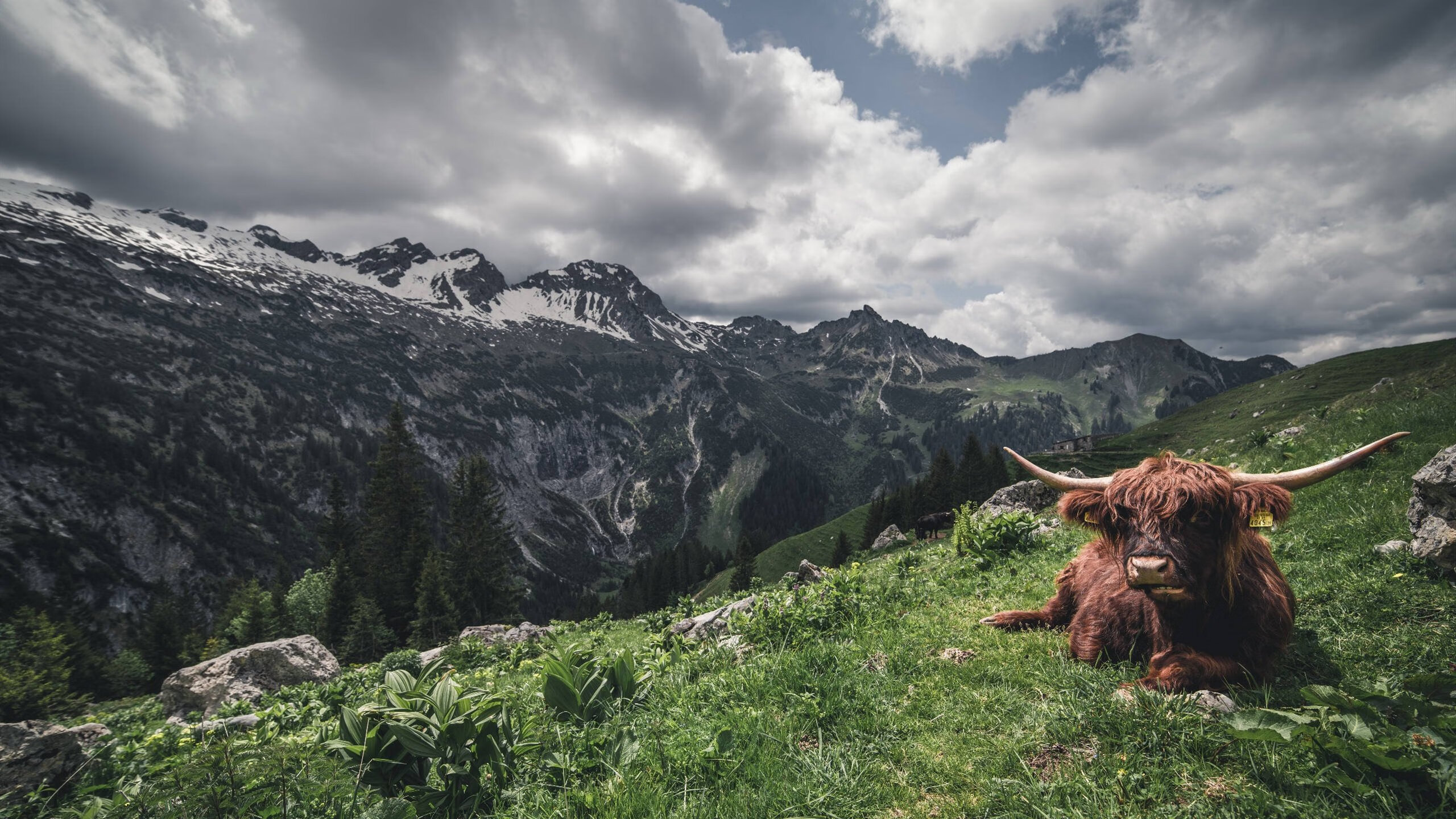 跨界王者，伦纳德从猛龙胜吉林到西甲德比接管比赛的双重传奇