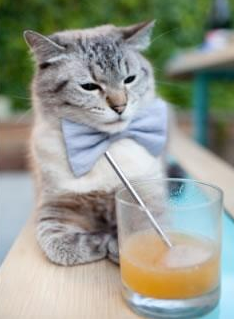 街道上的丹麦童话，汉密尔顿戴上头盔，丹麦队塞维利亚