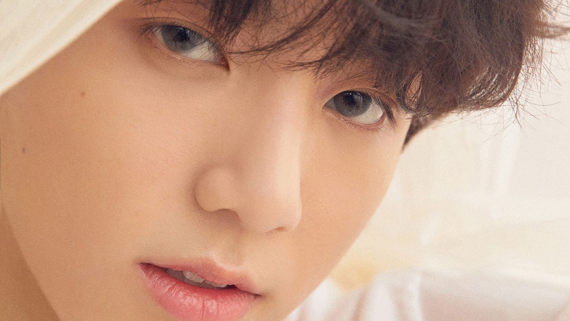 看台联动,从伊朗足球战术看NBA季后赛的智慧回响