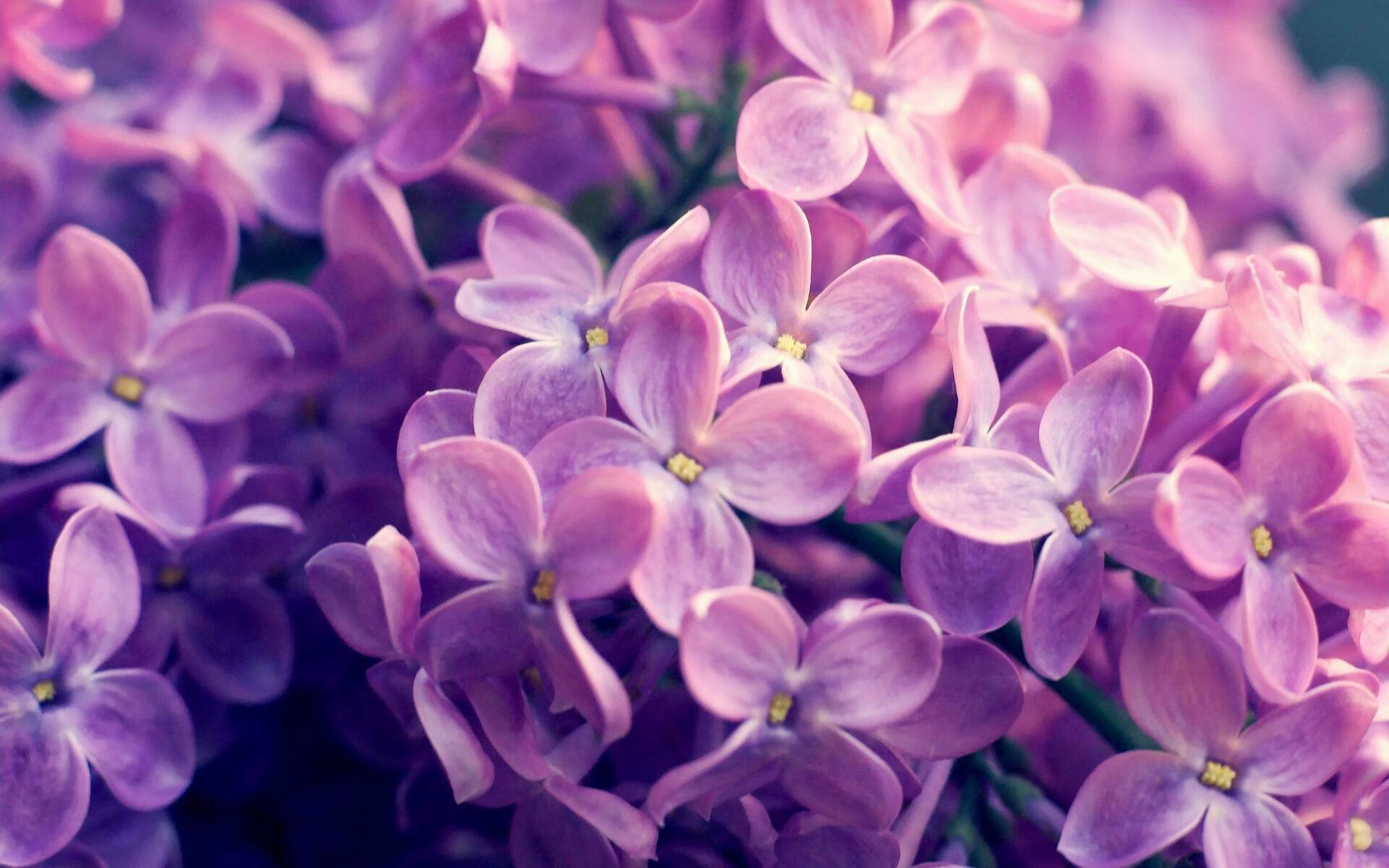 冰封的火山,哈兰德如何在死寂中点燃挪威的未来