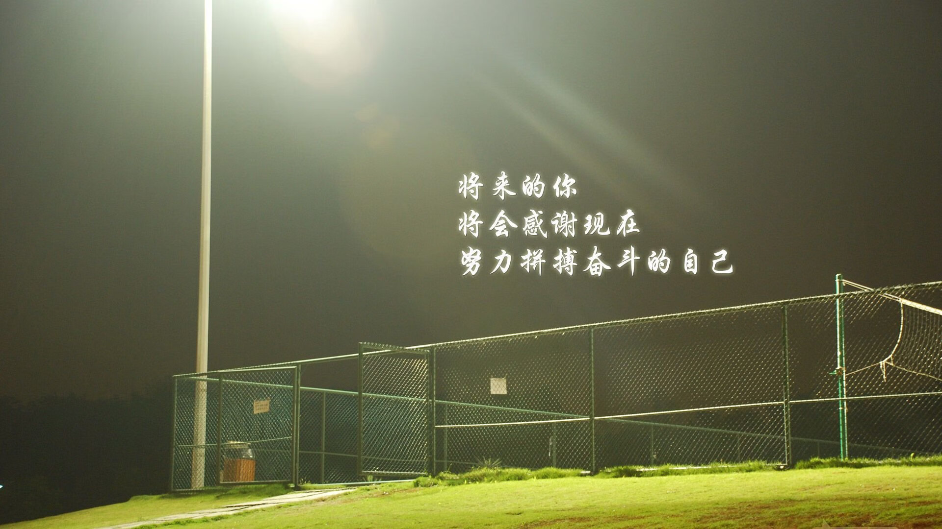 沙漠之狐的独行，齐耶赫与尼日利亚，2026世界杯唯一不可复制的关键战