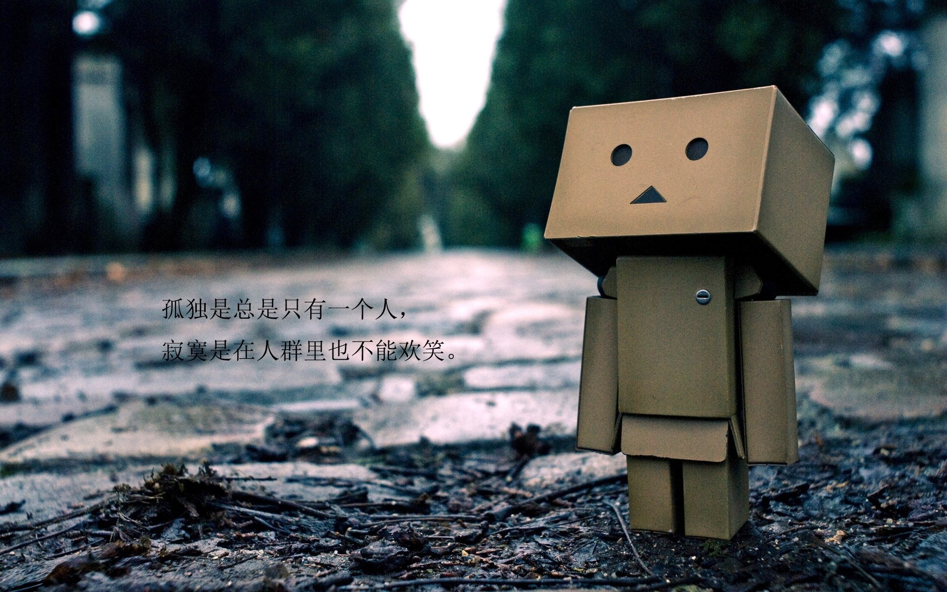唯一之战，2026世界杯C组血火淬炼，哥伦比亚铁骑碾碎沙特，三笘薰独舞撕裂暗夜