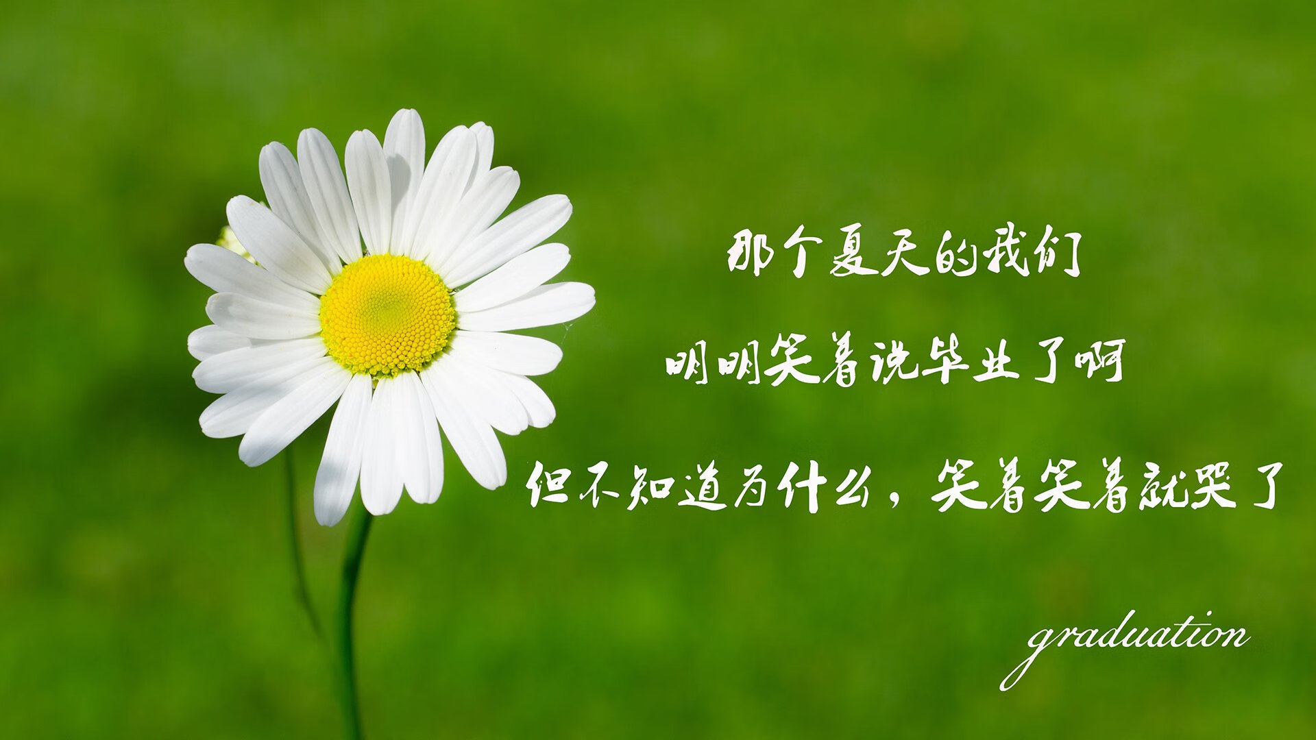 开云体育APP下载-沙漠之鹰折翼蓝海，努涅斯的致命一击，如何让澳大利亚在2026世界杯A组完成文明对野性的降维打击